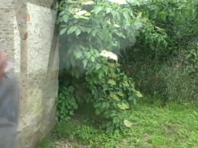 Cumming Soon: Брудний старий отримує мінет від молодої брюнетки в саду