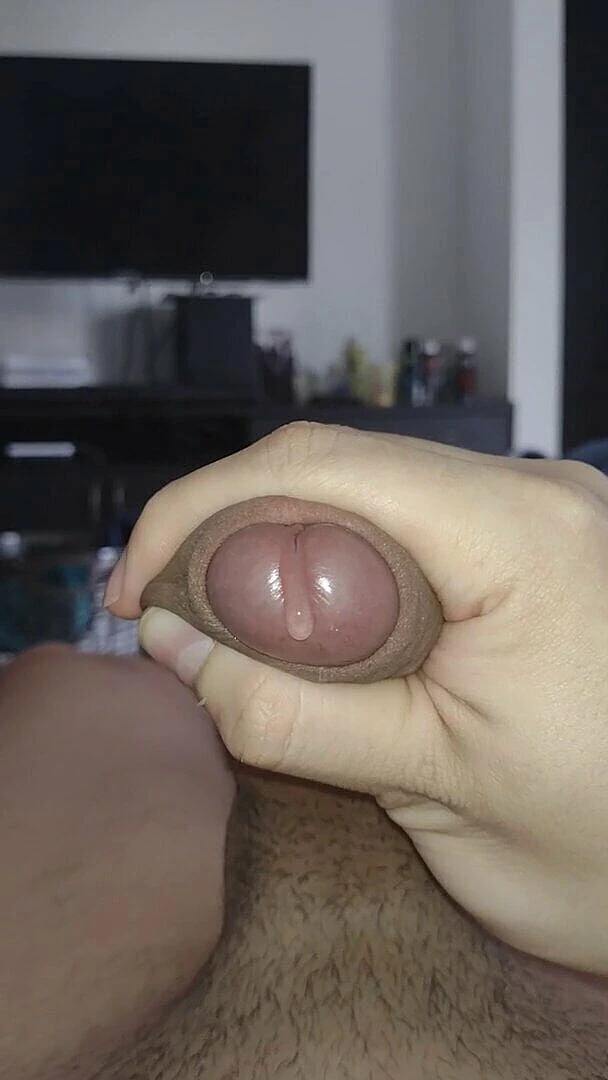 Tomas Styl: Pancutan mani amatur vol 5