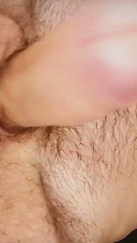Will You Suck My Hairy Balls?