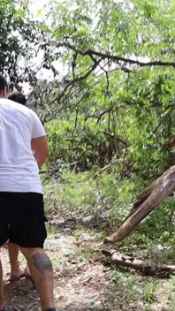 Tamirci ıssız bir yerde mahsur kalmış evli kadını sikiyor