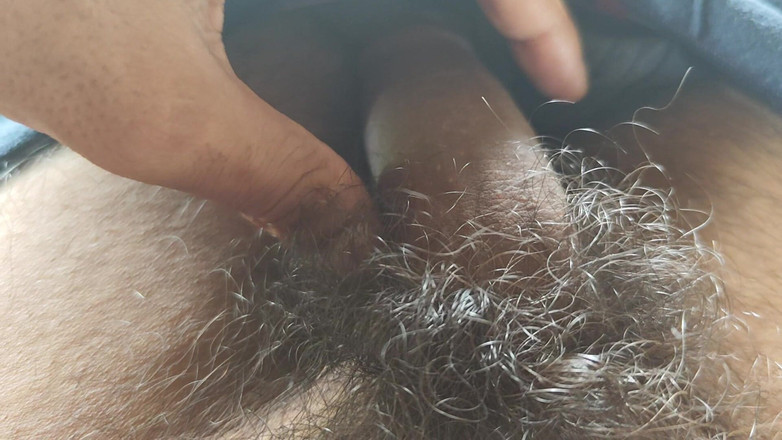 Robbie Dog: Assista Pron Desi