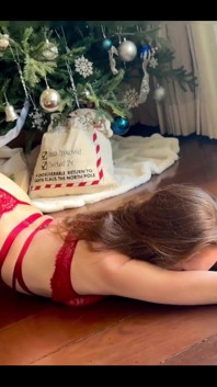 Elf on the Shelf?