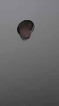 Velká prsa 2 Girl Glory Hole Titty Sperm Swap Zábavná Přítelkyně!