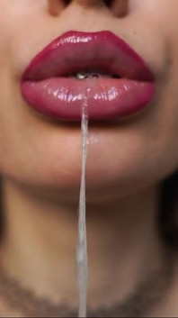 Drool Collector