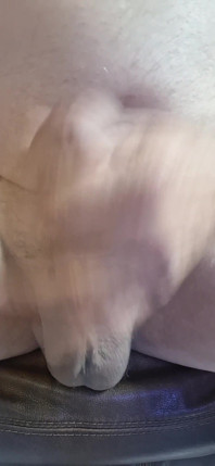 Vorrei pompare questo dentro di te