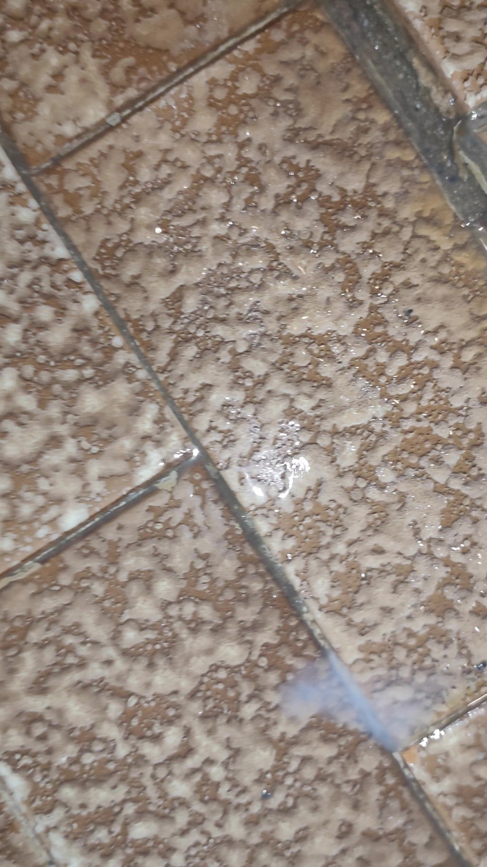 MartyBrady: रेट्रो ट्विंक लड़का चूत खेलता है