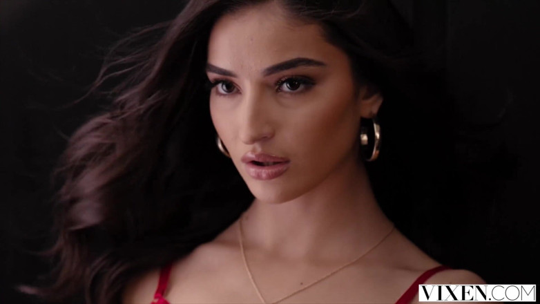 Vixen: Vixen, verwöhnte models wollen mehr von sugarDaddy