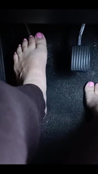 Barefoot Drive