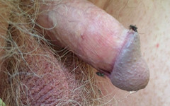 Redhairy4u: 緊縛蚊刺す小さなコック