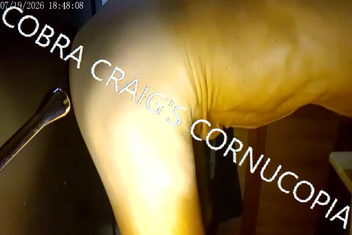 COBRA CRAIG: 7-19-2026 prends-la dans un cobra facile
