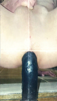Anal Dildo Home