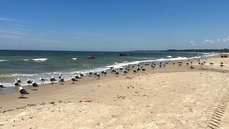 Fefo23x6: We Reizen Naar Het Strand Van San Luis