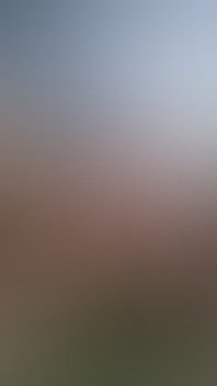 Play with My Dick. so Horny Watching Cum Slut Dudes Get Full of Cum. Damn I Wish It Would Have Been Me!
