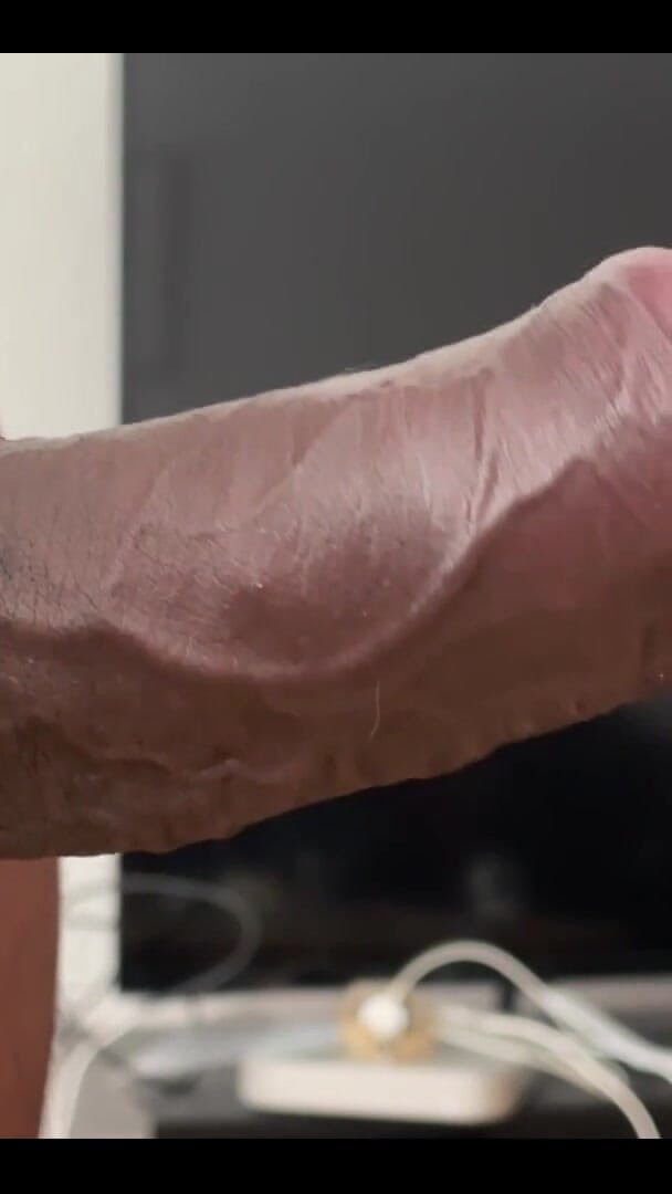 Stare as Long as You Want. You Still Can’t Take It (Muscular Bull)