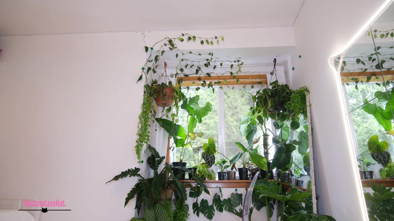 Destination Kat: बड़े स्तनों की इच्छा