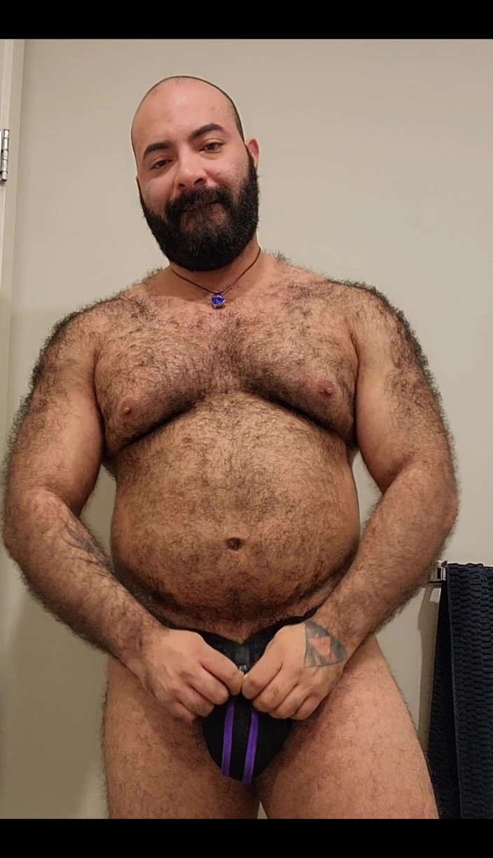 Lobo: Bear Is Here
