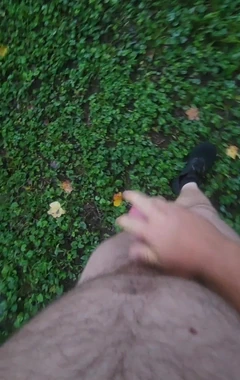 Passeggiata al mattino presto nel parco