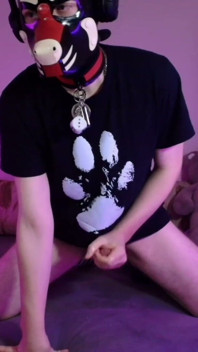 Playful Pup Cant Stop Playing with His Bone