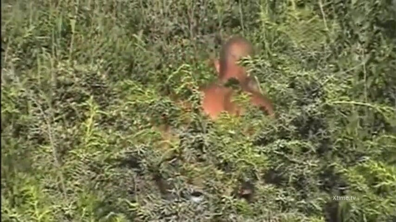 Monster Cocks: Ragazze bionde si fanno scopare il culo in un'orgia interrazziale