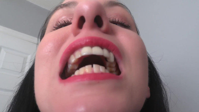 Quinn brooks: Mouth Tour Update
