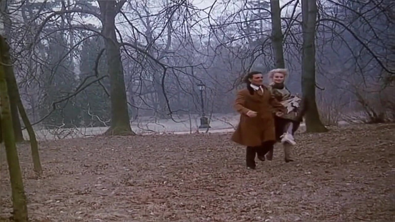 Euro Blue Movies: Lustige Witwe (1995)