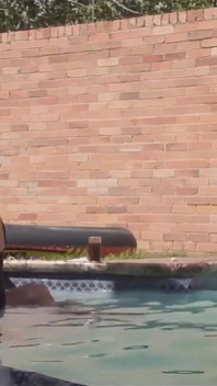 Swimming Pool Fuck