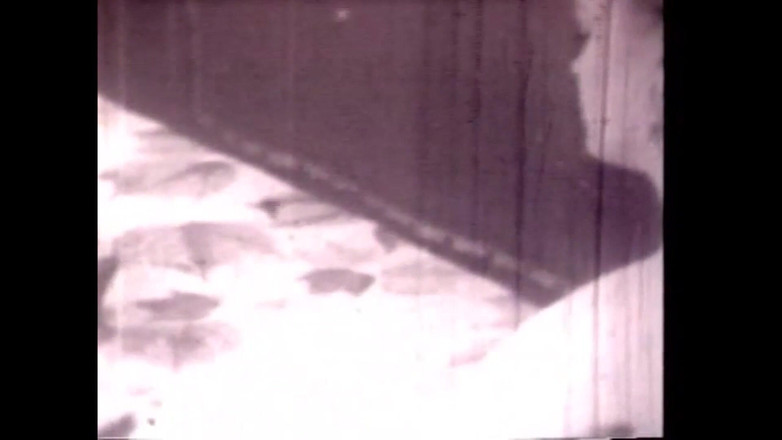 The Unforgettable: Jeho nenasytné a nenasytné tělo