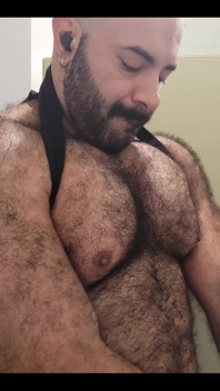 Solo Bear