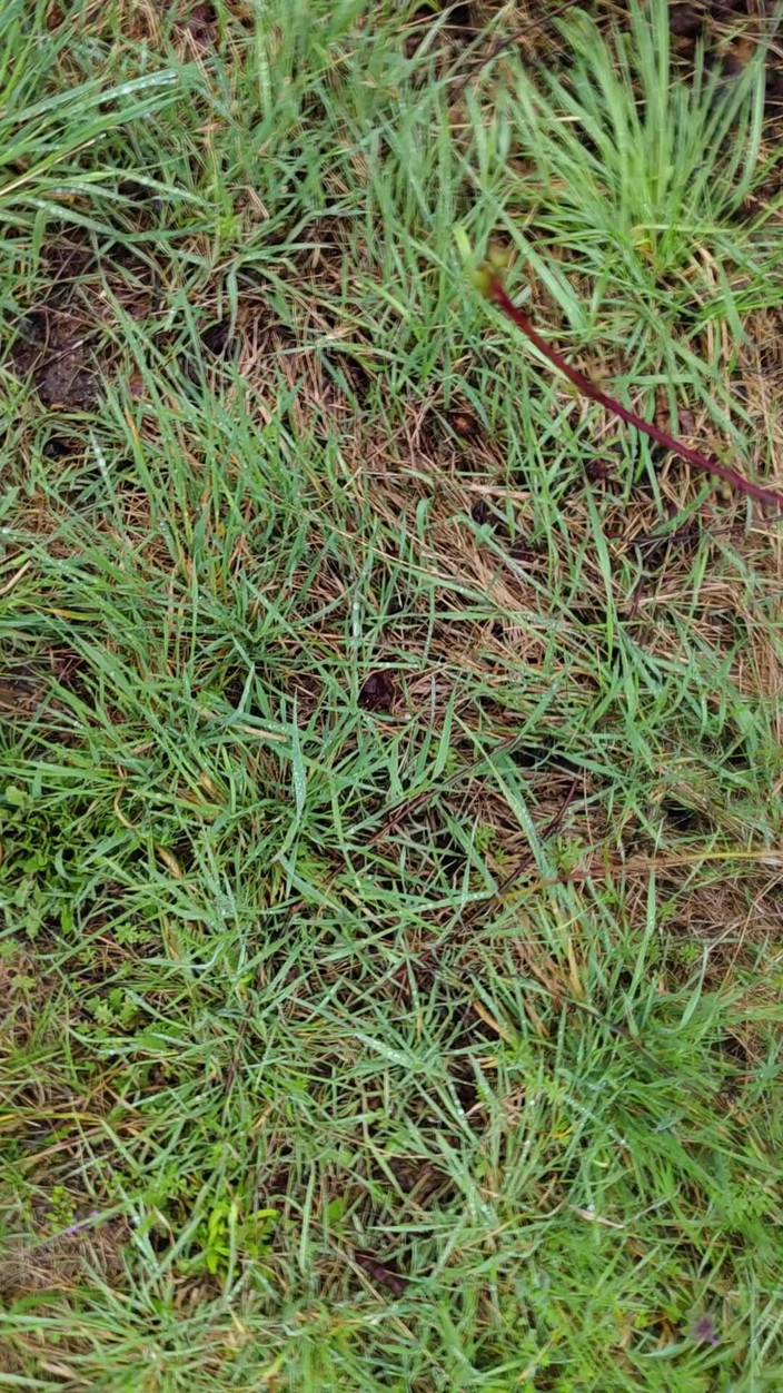 Bayer911: Pisse sous la pluie dans la nature