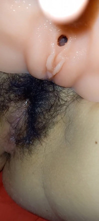 Labubu Tourist Doll Hairy Pussy North Korea