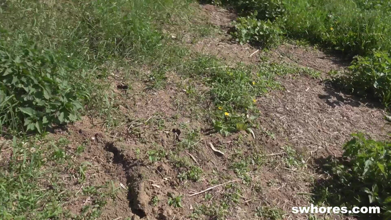 Swhores: Sexy schätzchen wird im wald wild