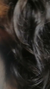 Cock Sucking
