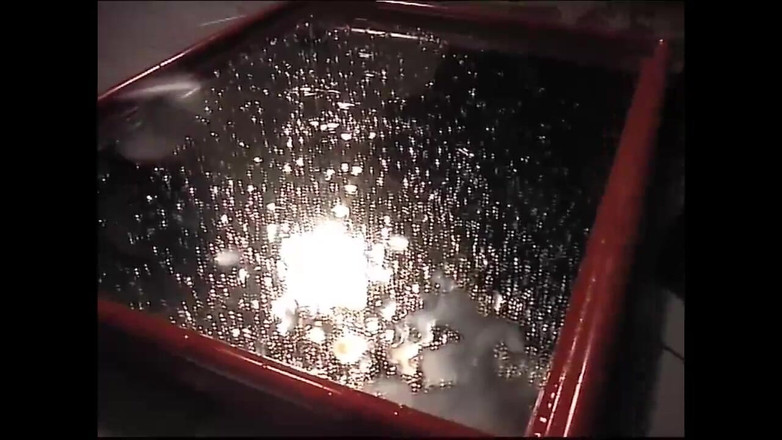 The Swingers & CO.: Lesbian yang beragam