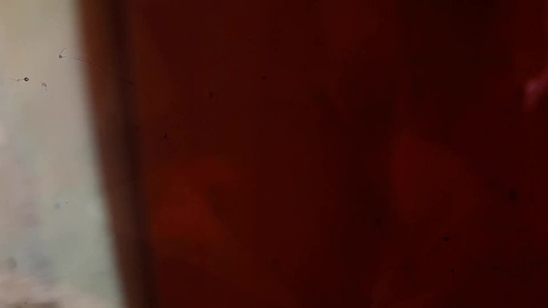 Tina Baby: La esteticista de mi madrastra vino a buscar complemento