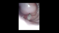 LizAngel: Beni içime yala