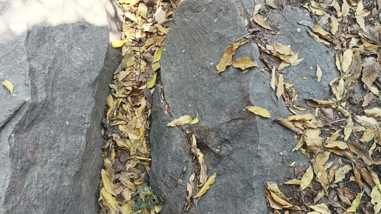 Suthavillagexxx: Cowok tamil lagi asik masturbasi di hutan