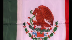 Chica Suicida DVD: Hot Mexican Brunette Luscious Got Her Big Ass Fucked in...