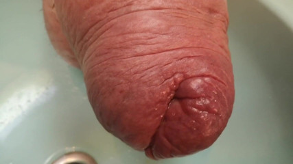 Monster_Meat_: Canavar işeme fontein gibidir
