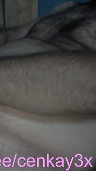 Urso papai goza