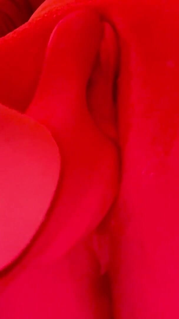 Use Me (Rock your cock 69)
