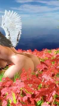 Eden Paradise