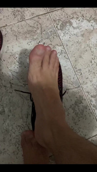 Pies Pies Pies