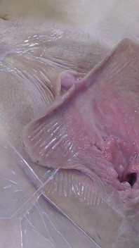 3 Menjilat Pussy Spread Jauh Dari Sangat Dekat