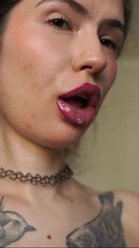 Drool Collector