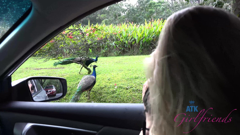 ATK Fans (Girlfriends): Virtueller urlaub in Hawaii mit Rachel James teil 4