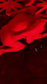 Fuck in Red
