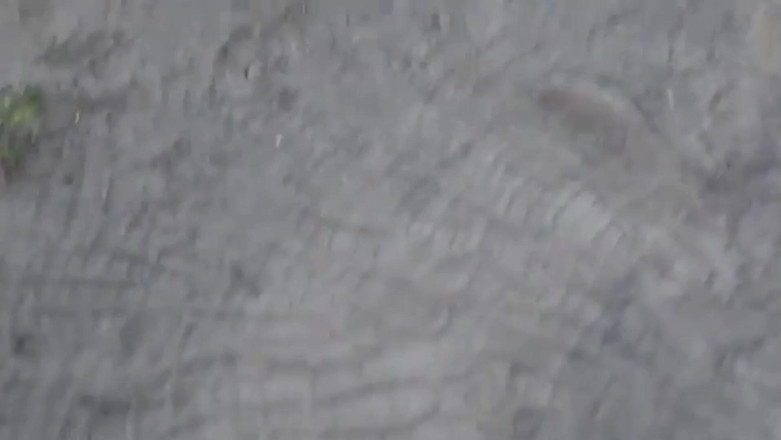 Louswee: Outdoor Solo in Nature - Angin, Sunyi, Dan Fokus