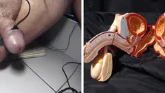 Männliche sexuelle resonanz 221216