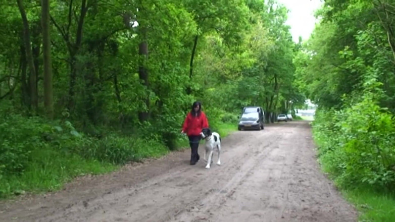 Public Entertainment: Chubby and horny brunette was walking her pet when she...