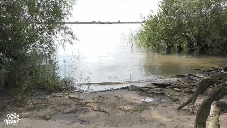 Miley Weasel: Oh no!! Il fotografo sborra tutto nella mia figa !!